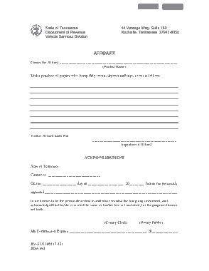 Blank  Affidavit Form Example Template