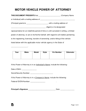 Motor Vehicle Power Of Attorney Form Template