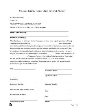 Free Download PDF Books, Colorado Parental Inmor Child Power Of Attorney Form Template