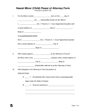 Free Download PDF Books, Hawaii Minor Child Parental Power Of Attorney Form Template