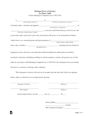 Michigan Power Of Attorney For Minor Child Form Template