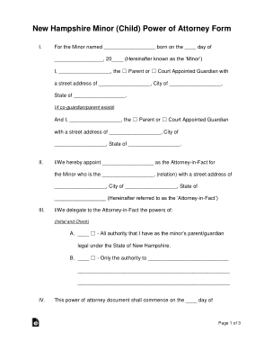 Free Download PDF Books, New Hampshire Minor Child Parental Power Of Attorney Form Template