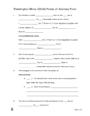 Free Download PDF Books, Washington Minor Child Parental Power Of Attorney Form Template