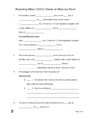 Wyoming Minor Child Parental Power Of Attorney Form Template