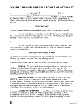 South Carolina Durable Financial Power Of Attorney Form Template