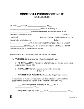 Minnesota Unsecured Promissory Note Form Template