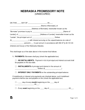 Nebraska Unsecured Promissory Note Form Template
