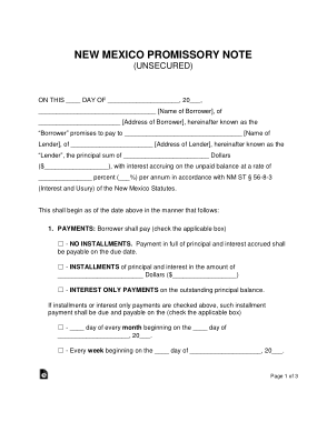 New Mexico Unsecured Promissory Note Form Template