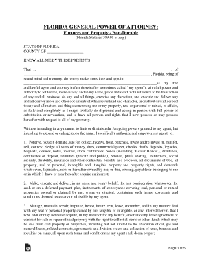 Florida General Power Of Attorney Form Template