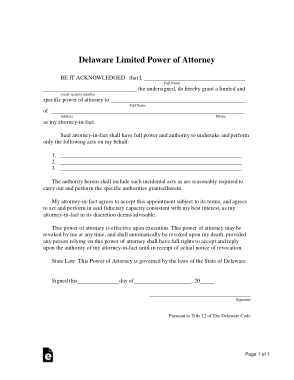 Delaware Limited Power Of Attorney Form Template