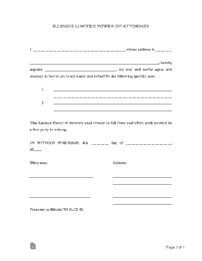 Illinois Limited Power Of Attorney Form Template
