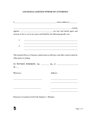 Louisiana Limited Power Of Attorney Form Template
