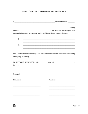 Free Download PDF Books, New York Limited Power Of Attorney Form Template