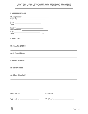 Limited Liabilty Company Meeting Minutes Form Template