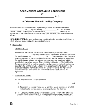 Delaware Single Member LLC Operating Agreement Form Template