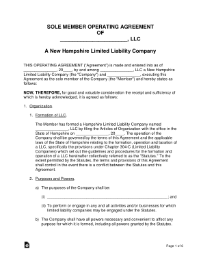New Hampshire Single Member LLC Operating Agreement Form Template