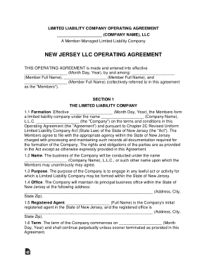 New Jersey Multi Member LLC Operating Agreement Form Template