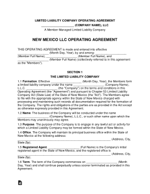 New Mexico Multi Member LLC Operating Agreement Form Template