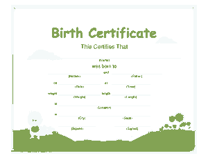 Birth Certificate Cartoon Template
