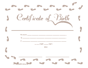 Simple Birth Certificate Application Template