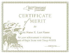 Free Merit Certificate Template