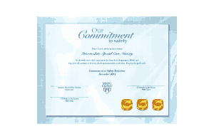 Service Excellence Award Certificate Template