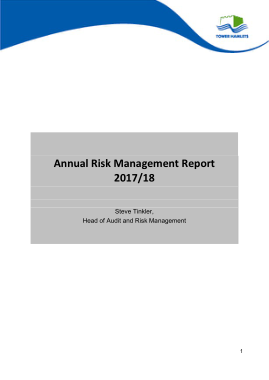 Annual Risk Management Report Template