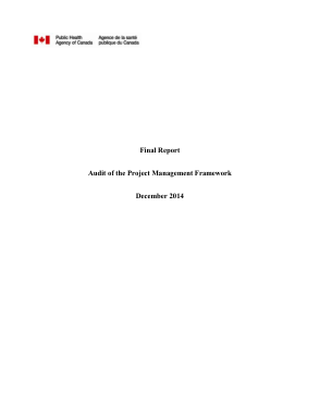 Audit of Project Management Report  Framework Template
