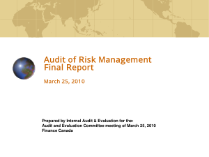 Audit of Risk Management Final Report Template