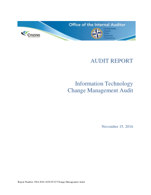 Information Technology Change management Audit Report Template