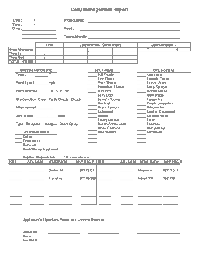 Daily Management Report Template