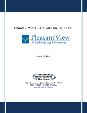 Management Consultant Report Sample Template