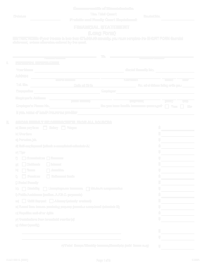Blank Financial Statement Long Form Template