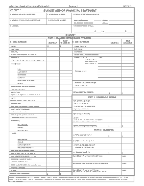 Budget and Financial Budget Statement Template