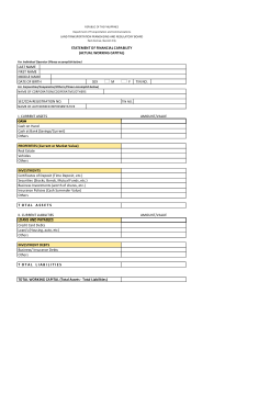 Financial Capability Statement Template