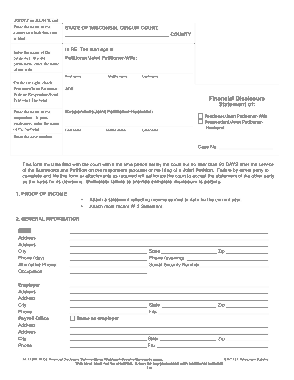 Financial Disclosure Statement Form Template