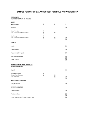 Sample Format of Balance Sheet for Sole Proprietorship Template