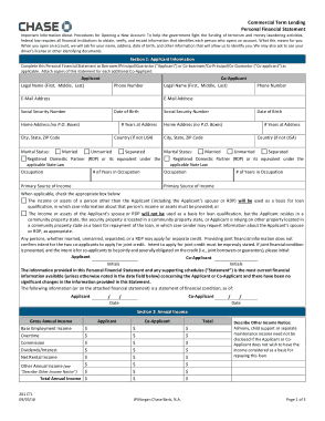 Commercial Term Lending Personal Financial Statement Template