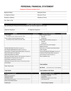 Personal Financial Statement Credit Application Template