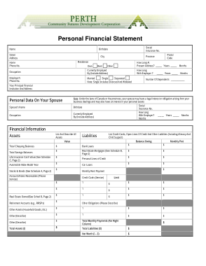 Free Download PDF Books, PERTH Personal Financial Statement Worksheet Template