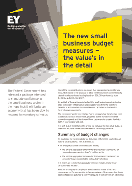 Small Business Budget Measures the Values Template