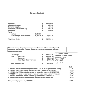 Small Business Budget Sample Template