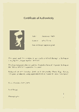 Artist Certificate of Authenticity Template