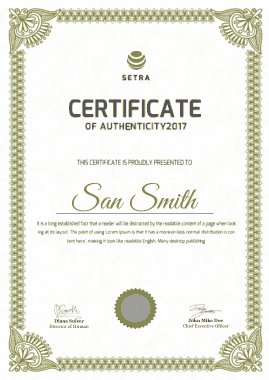 Company Certificate of Authenticity Template