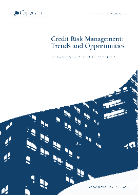 Free Download PDF Books, Credit Risk Management Trends and Oppertnities Template