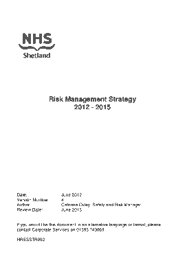 Risk Management Strategy Plan Template