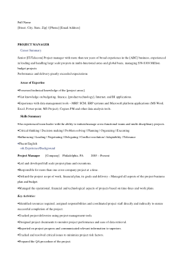 Executive Summary For Project Management Resume Template
