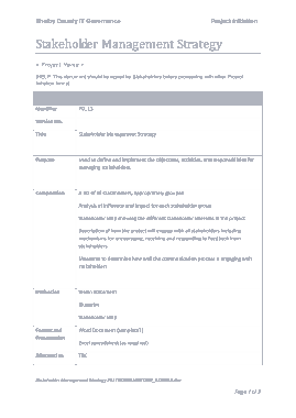 Stakeholder Management Strategy Sample Template