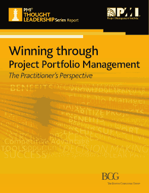 Winning Through Project Portfolio Management Template