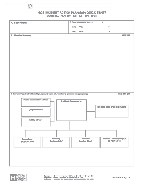 HICS Incident Action Plan Template